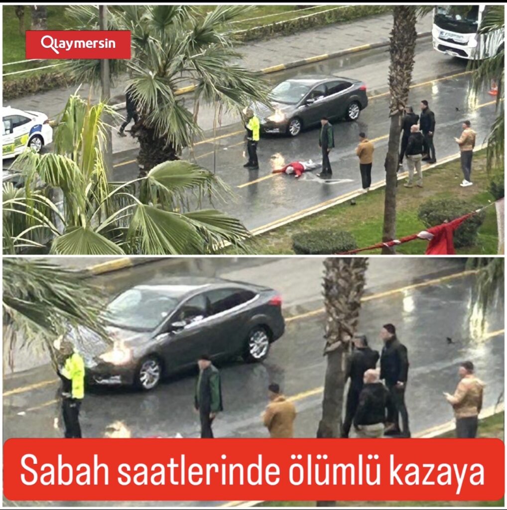 Mersin’de yolun ortasında can verdi